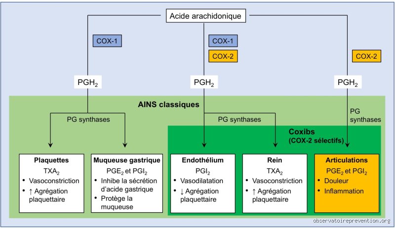 Pourquoi les anti-inflammatoires sont-ils vraiment interdits aux cardiaques ?
