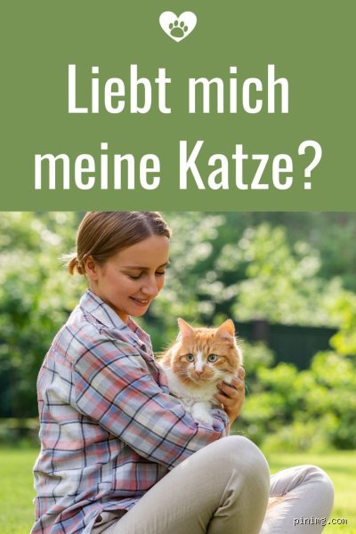 Wie begrüßt mich meine Katze?
