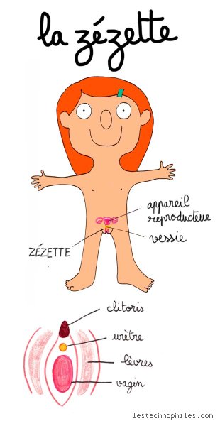 C'est quoi une Zézette ? Tout savoir sur ce biscuit artisanal qui fait vibrer les papilles de Sète et du Languedoc