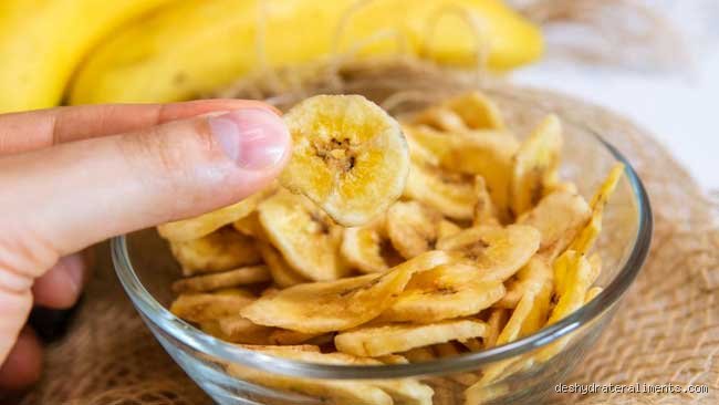 Le Guide Ultime pour des Bananes Séchées au Déshydrateur : Texture et Goût Parfaits