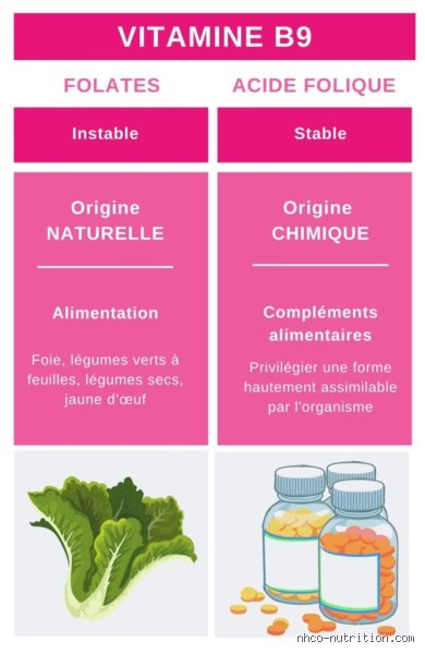 Comment mieux absorber l'acide folique ? Tout ce que votre médecin ne vous dit pas sur la biodisponibilité des folates