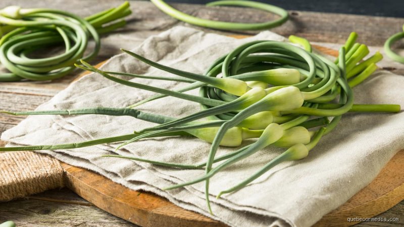 Comment préparer la fleur d'ail : un guide simple pour bien la cuisiner