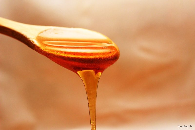 Comment s'appelle la cuillère pour le miel ? Décryptage de l'ustensile indispensable (ou pas)