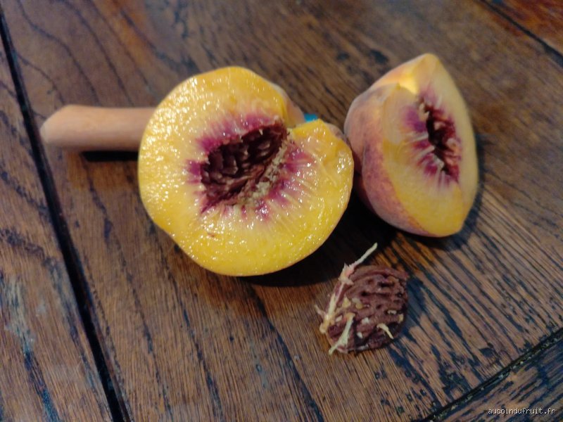 Pêches mûres à coup sûr : le guide qui va vous éviter les fruits décevants (et les arnaques du marché)