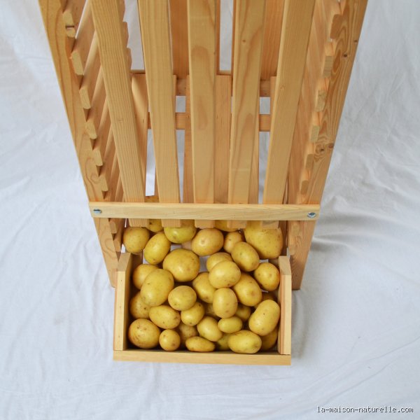 Comment stocker les pommes de terre après récolte pour éviter qu'elles ne germent ou ne pourrissent prématurément ?