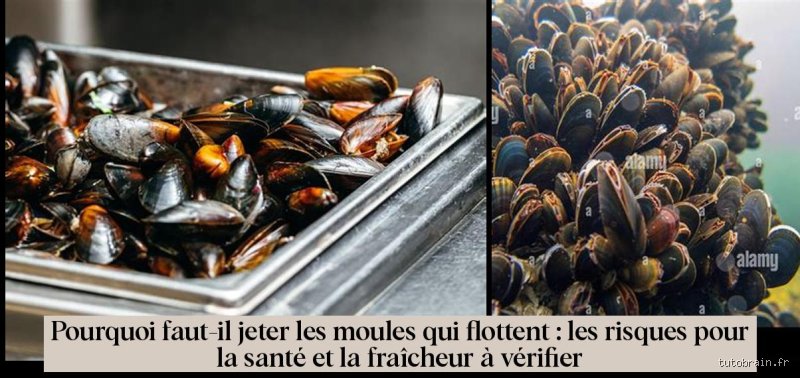 Est-ce qu'il faut jeter les moules qui flottent ?