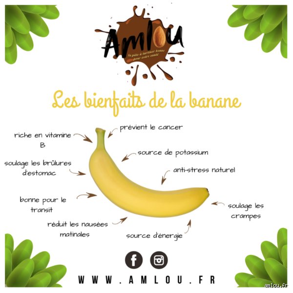 Est-ce que la banane est bonne pour le cœur ? Vérités scientifiques derrière le fruit le plus consommé au monde