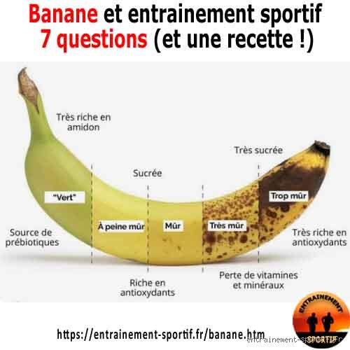 Est-ce que la banane est riche en protéines ? Ce que la science dit vraiment derrière le mythe des salles de sport