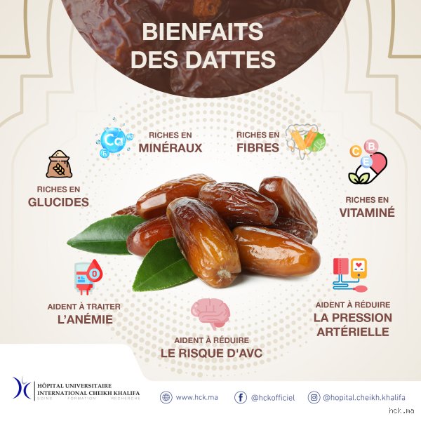 Est-ce que les dattes sont bonnes pour le cholestérol ? Vérités scientifiques et pièges nutritionnels derrière ce fruit millénaire