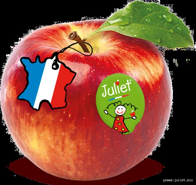 Est-ce que les pommes bio sont traitées ? La vérité sur les vergers écologiques