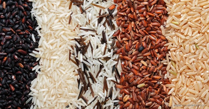 Le riz basmati peut-il vraiment vous aider à perdre du poids ? La vérité que personne ne vous dit