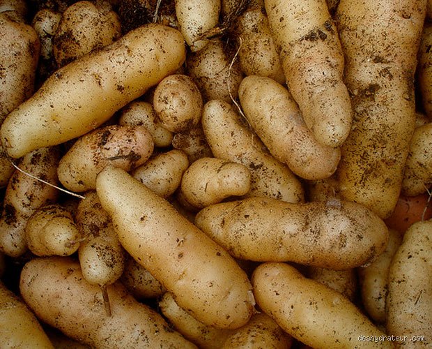 Faut-il faire sécher les pommes de terre avant de les manger pour garantir une cuisson parfaite et une texture irréprochable ?