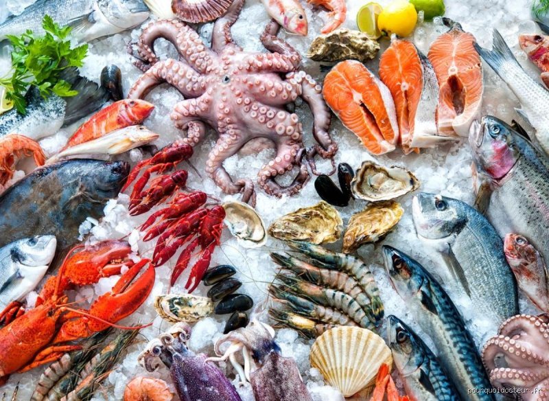 Fruits de mer mauvais pour la santé ? La vérité derrière le plateau d'huîtres et les risques cachés en 2026