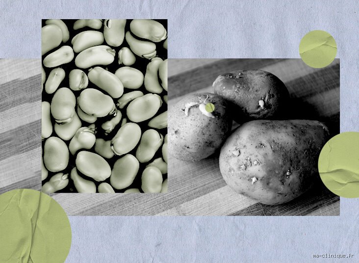 La pomme de terre cuite peut-elle entraîner une résistance à l'insuline ? Le vrai impact métabolique d'un tubercule omniprésent