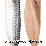 Le maquereau est-il bon pour les bébés ? Tout ce qu'il faut savoir avant de glisser ce poisson bleu dans l'assiette de votre enfant