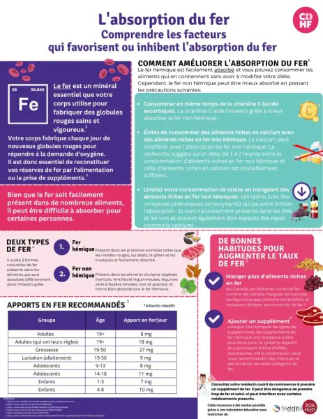 Les œufs bloquent-ils l'absorption du fer : entre science nutritionnelle et mythes culinaires persistants