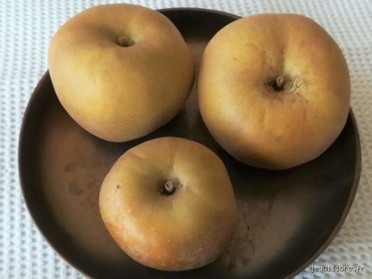 Les pommes peuvent-elles aider à faire baisser le cholestérol ? Ce que la science révèle enfin sur ce remède de grand-mère