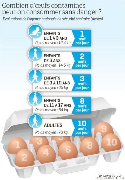 Manger 2 œufs par jour est-ce trop pour votre santé ou est-ce le super-aliment ultime de 2026 ?