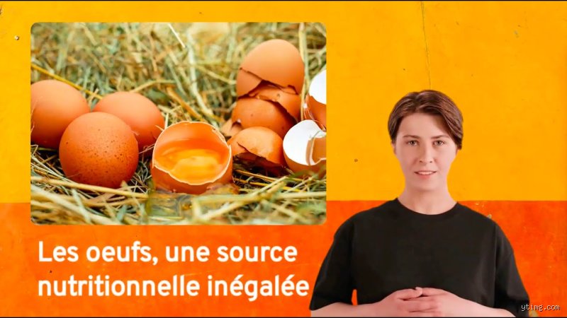 Pourquoi 6 œufs par semaine ? Décryptage d'une recommandation populaire