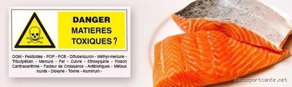 Pourquoi dit-on qu'il ne faut pas manger de saumon ? La vérité brutale sur le poisson préféré des Français