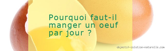 Pourquoi faut-il manger un œuf par jour ?