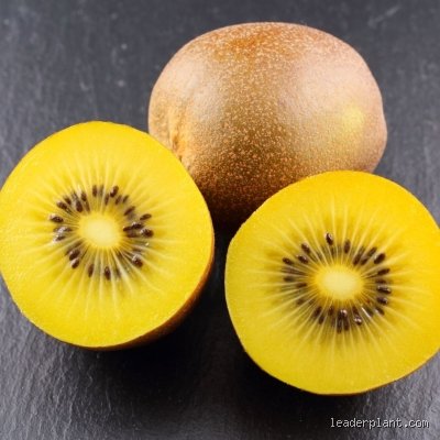 Pourquoi les kiwis jaunes sont plus chers ?
