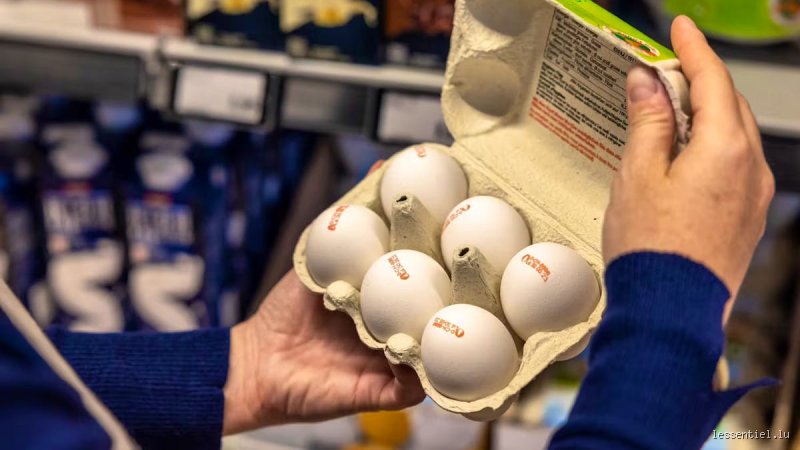 Pourquoi les œufs ne sont pas au frigo ? La vérité sur la conservation hors chaîne du froid