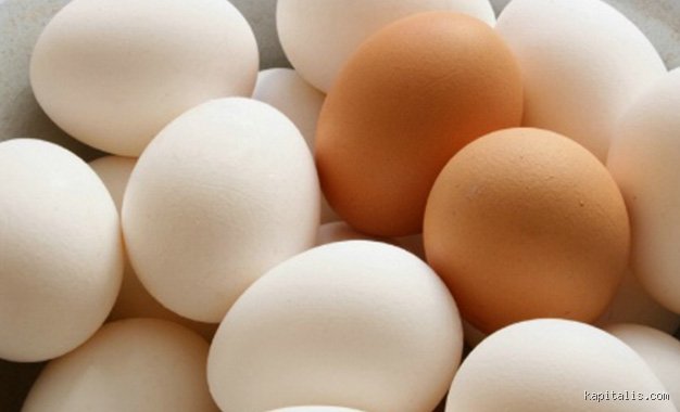 Pourquoi les œufs sont-ils blancs en Tunisie ?