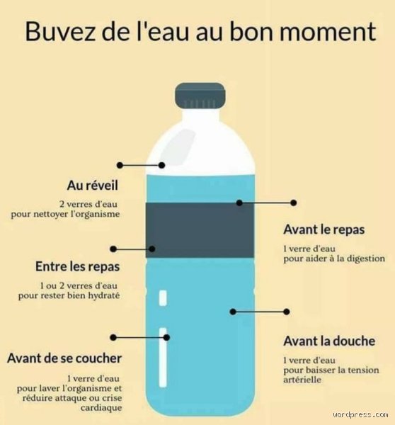 Pourquoi ne doit-on pas boire de l'eau après ? Le guide complet sur ce réflexe qui bouscule votre digestion
