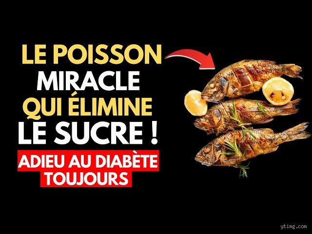 Puis-je manger du poisson si je suis diabétique ? La vérité scientifique sur les bénéfices et les pièges cachés des produits de la mer
