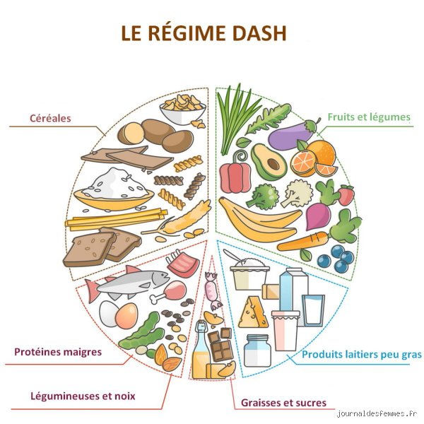 Qu'est-ce que la diète DASH ? Le guide d'expert sur le régime qui bouscule la cardiologie