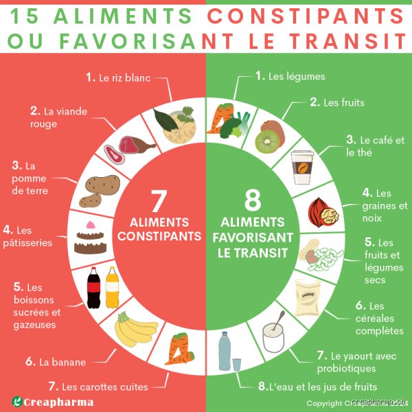 Qu'est-ce qui accélère le transit intestinal et comment retrouver un bon confort au quotidien sans se prendre la tête