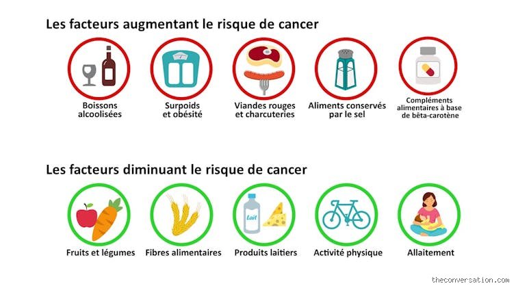 Que faut-il éviter de manger si on a un cancer : le guide pour ne pas nourrir la maladie par erreur