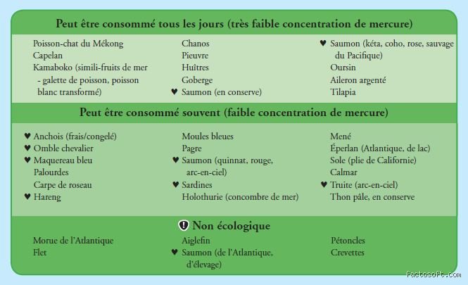 Achat de poisson : les pièges à éviter pour ne pas se faire avoir à la poissonnerie