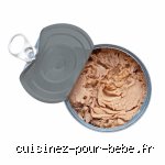 Quel âge le thon pour bébé ? Le guide complet pour introduire ce poisson sans risque dans la diversification alimentaire