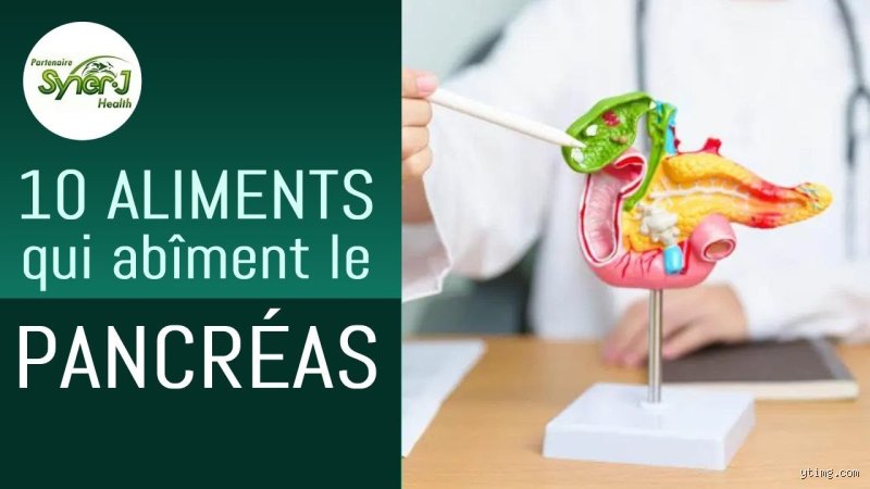 Quel aliment est mauvais pour le pancréas ? Guide complet pour protéger votre santé digestive