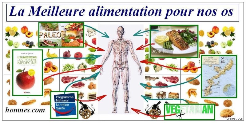 Quel aliment répare les os ? Le guide complet pour reconstruire sa densité minérale et accélérer la consolidation
