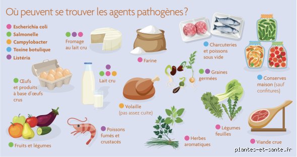 Quel est l'aliment numéro 1 responsable des intoxications alimentaires ? La vérité surprenante sur vos assiettes