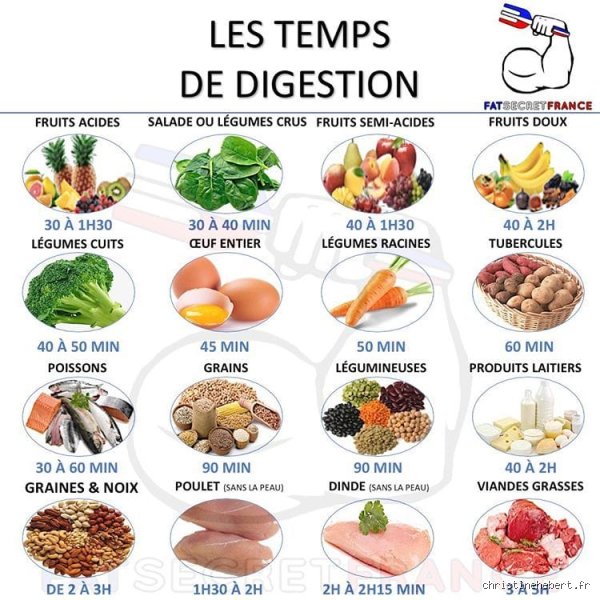 Quel est l'aliment qui se digère le plus rapidement pour optimiser votre énergie au quotidien ?