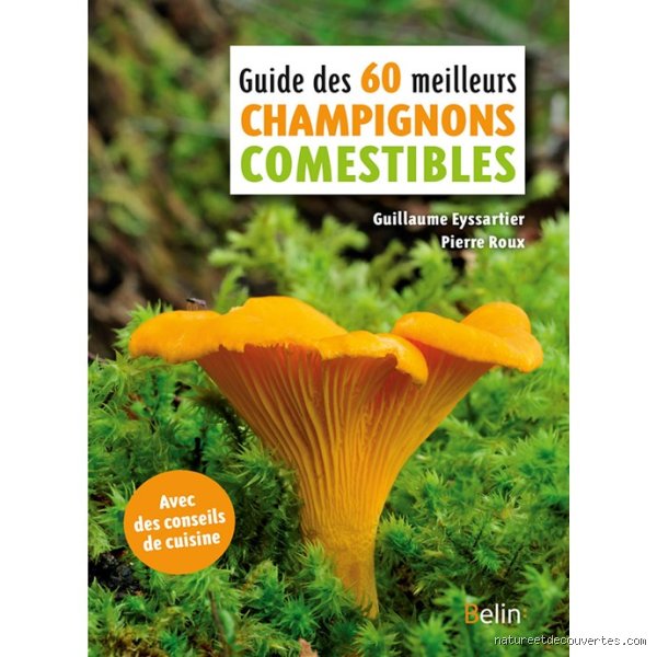 Quel est le champignon le plus bon du monde ?