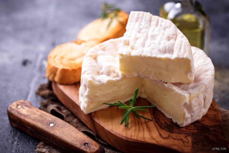 Quel est le fromage considéré comme le plus mauvais du monde ? Enquête au cœur des pires cauchemars olfactifs de la gastronomie