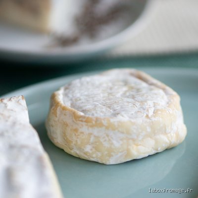 Quel est le fromage le plus allégé ? Enquête sans filtre dans le frigo des Français