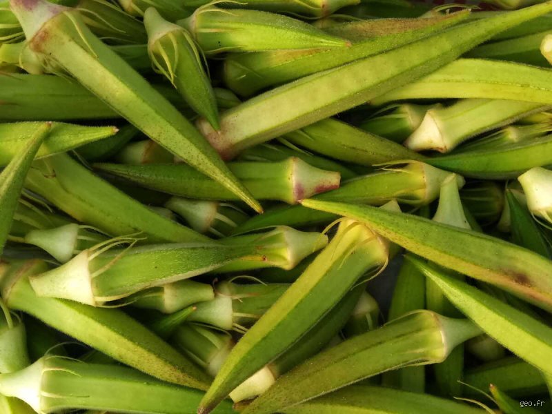 Quel est le légume roi ? Enquête au cœur des potagers et des cuisines gastronomiques pour débusquer le véritable souverain