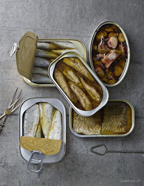 Quel est le meilleur poisson en conserve pour la santé : le guide ultime pour choisir entre thon, sardines et maquereaux