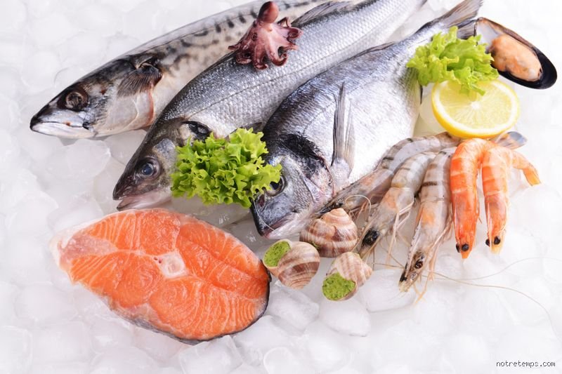 Quel est le meilleur poisson pour baisser le cholestérol ? Le guide complet pour assainir vos artères sans sacrifier le plaisir