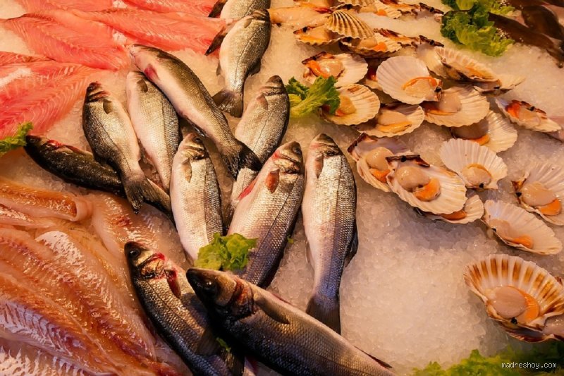 Quel est le meilleur poisson pour les enfants ?