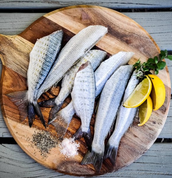 Quel est le meilleur poisson sans arêtes pour les bébés ? Le guide vérité pour une diversification sereine sans risque d'étouffement