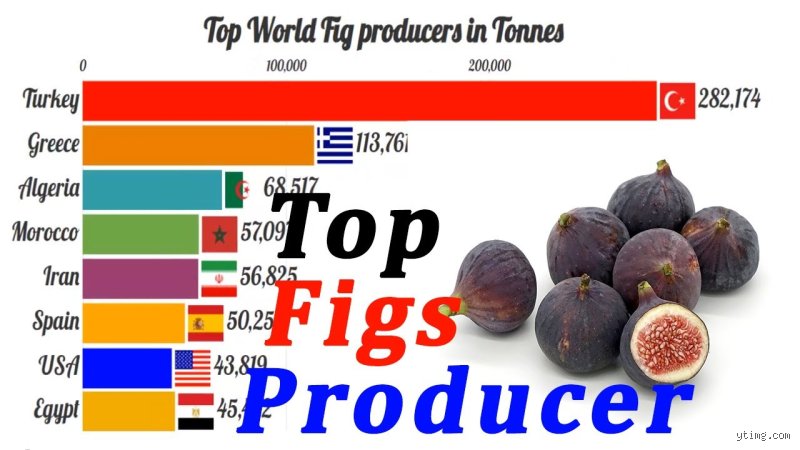 Quel est le plus gros producteur de figues au monde ?