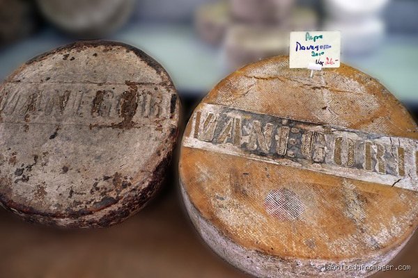 Quel est le plus vieux fromage du monde ? L'incroyable histoire derrière la conservation du lait