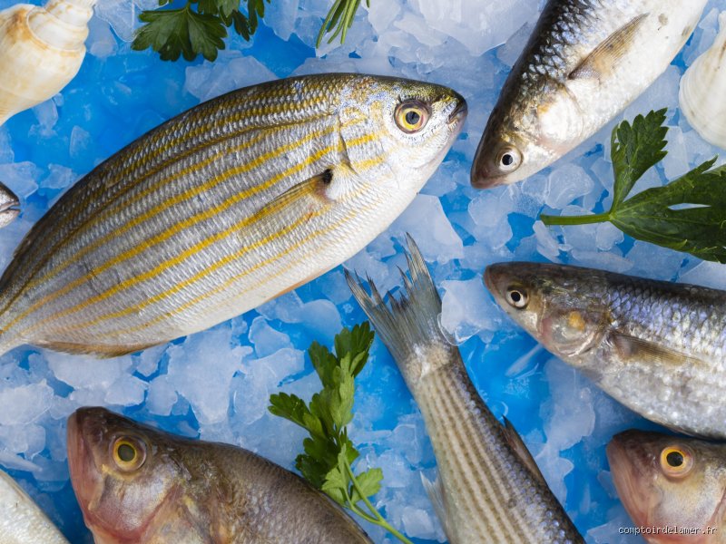 Quel est le poisson blanc le plus sucré ? Le guide ultime pour débusquer les saveurs les plus douces de l'océan